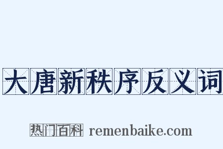 大唐新秩序反义词是什么意思的图片